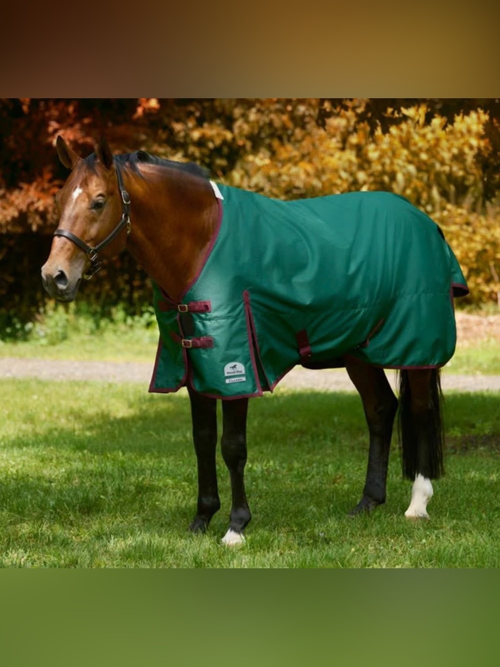 New SmartPak Classic Turnout Sheet, Size 78